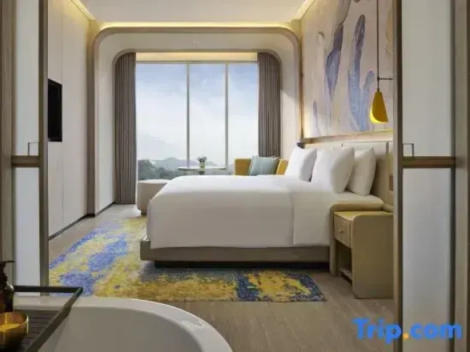 1 Bedroom Deluxe Single Suite with city view