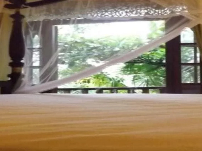 Nature Villa