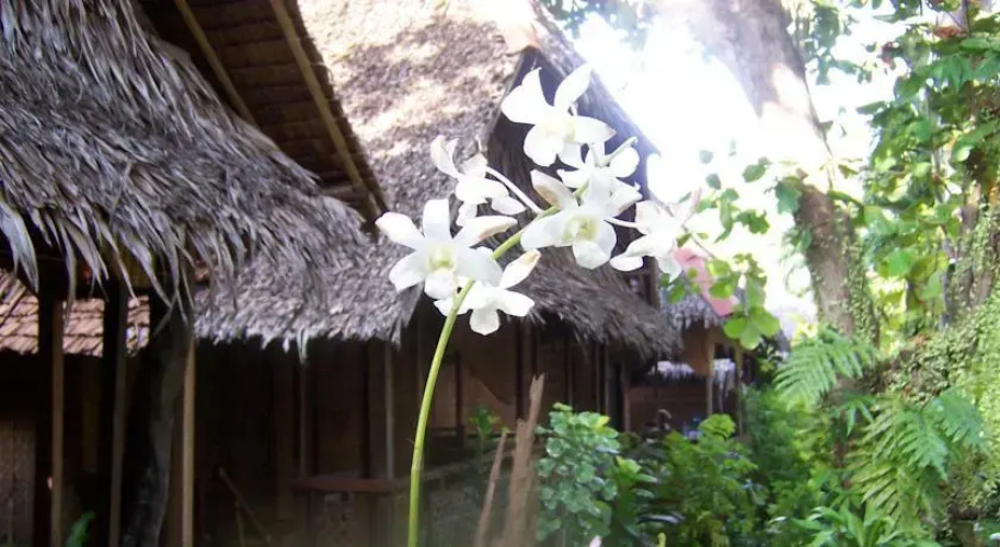 Melinda's Garden