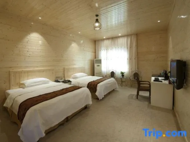Deluxe Twin Villa