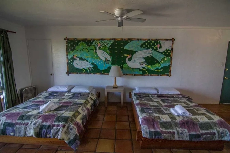 Guest rooms