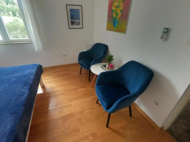 Standard Double room with balcony and with sea view