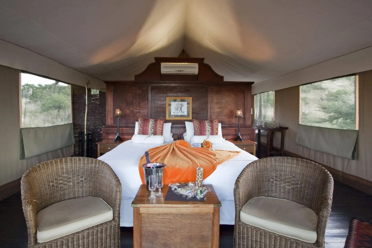 The Springbok Lodge
