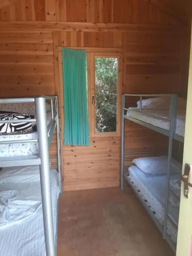 Social Camping JAL