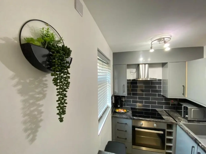 1 Bedroom Apartment