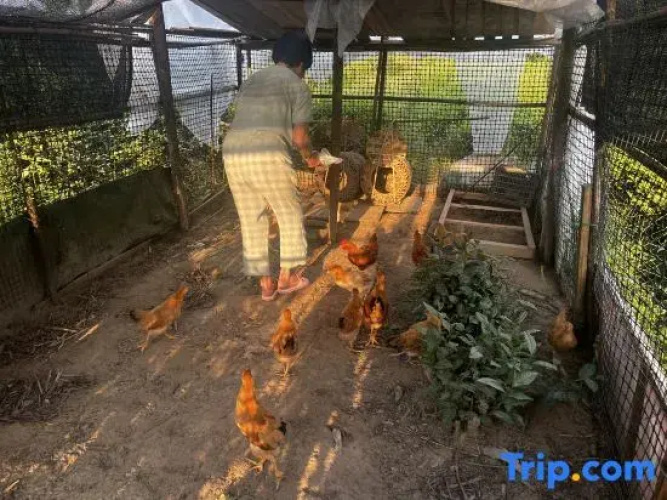 Yiyuan Linyang Homestay
