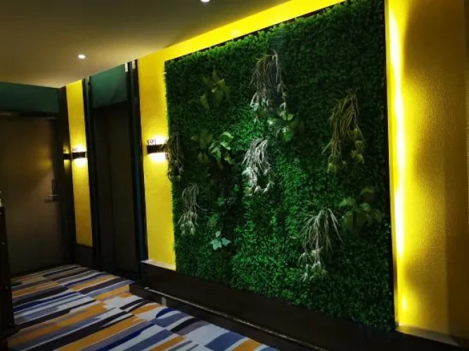 Hotel rooms