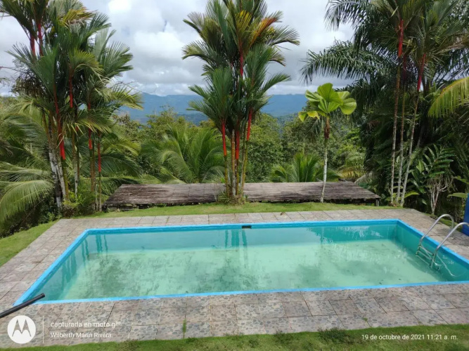 Mirador Osa