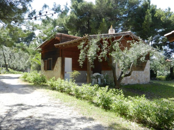 Classic Villa