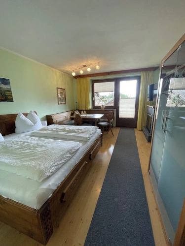 Standard Double room with balcony and with mountain view