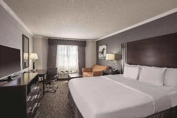 Deluxe Suite with view