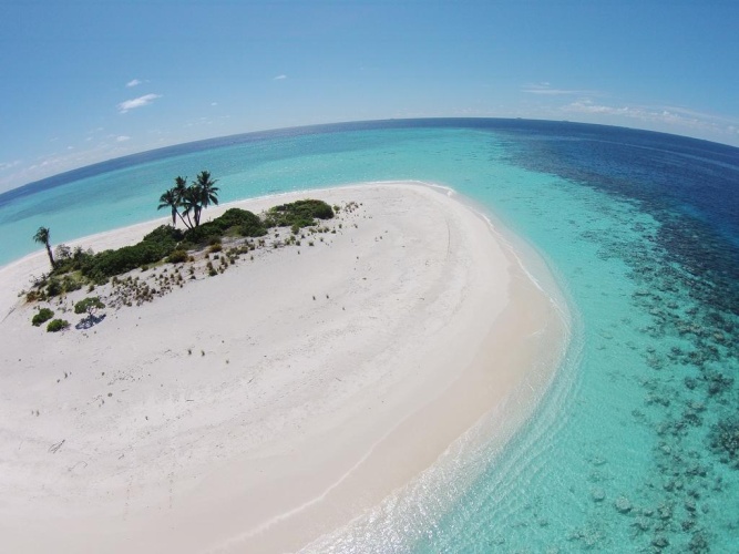 Pearl Beach View