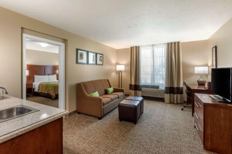 Suite