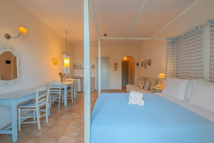 Double room with pool view