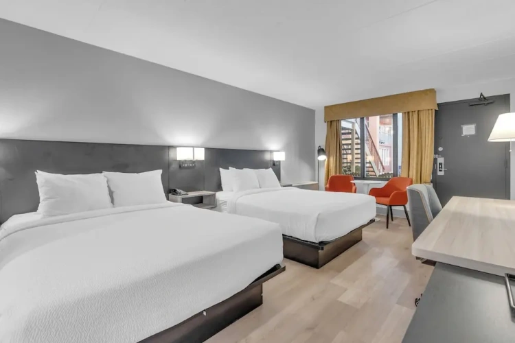 Quadruple Suite