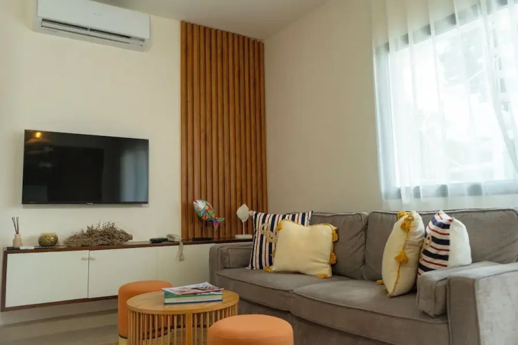 Luxury Apartment