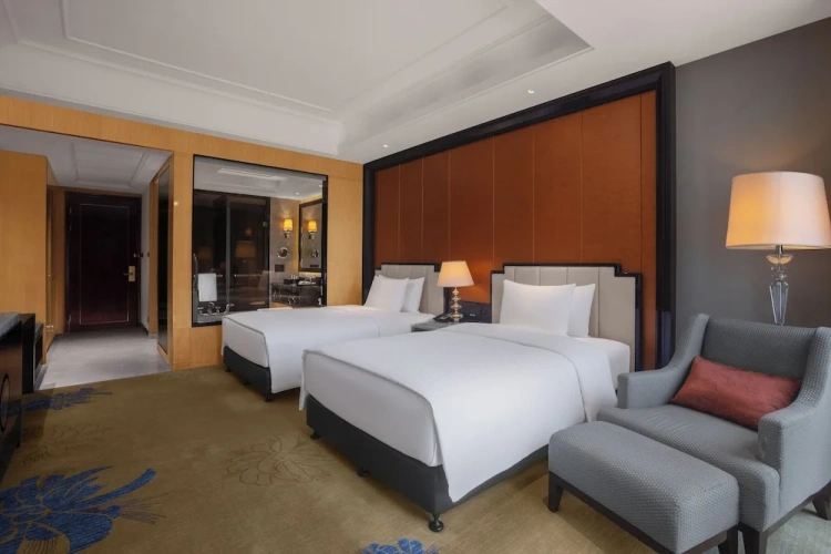 Deluxe Twin room with view