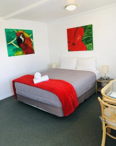 2 Bedrooms Studio