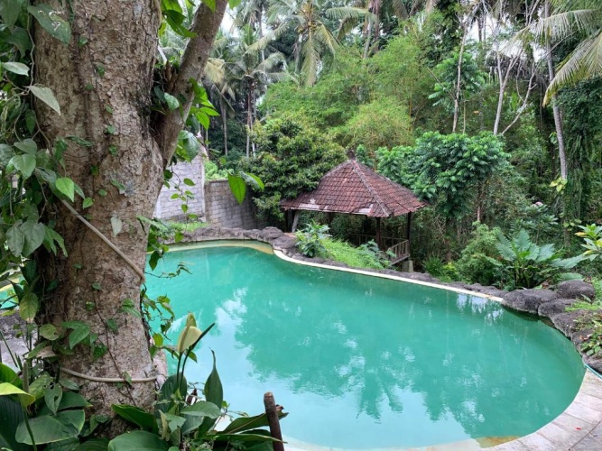Standard Double room with garden view