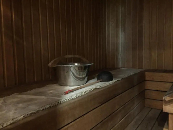 Ristiku Guesthouse