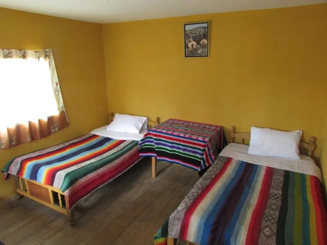 Standard Twin room with lake view