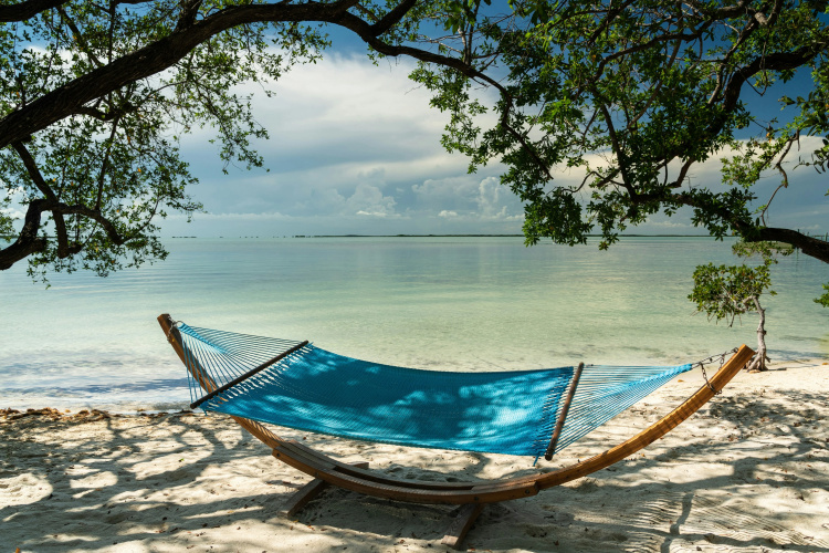 Baker's Cay Resort Key Largo, Curio Collection by Hilton photo 31