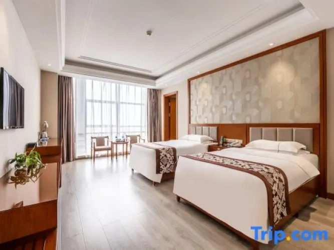 Standard Twin room with city view