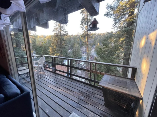 Lazy Bear Cabin