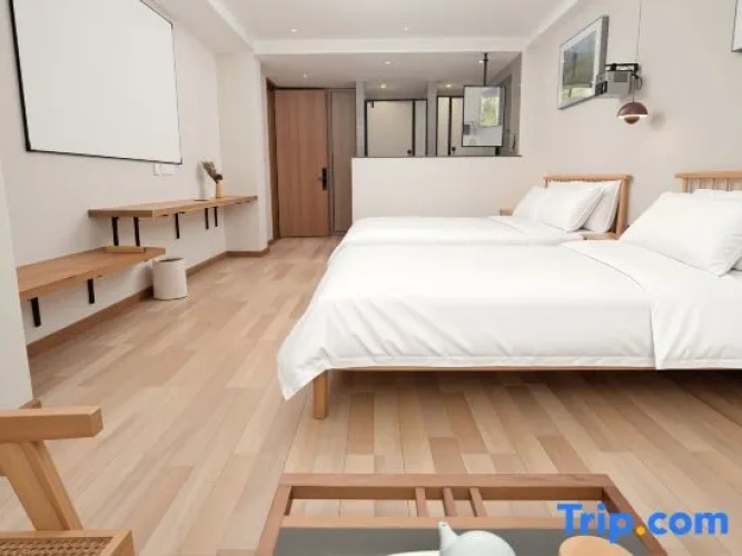 Standard Twin Family room
