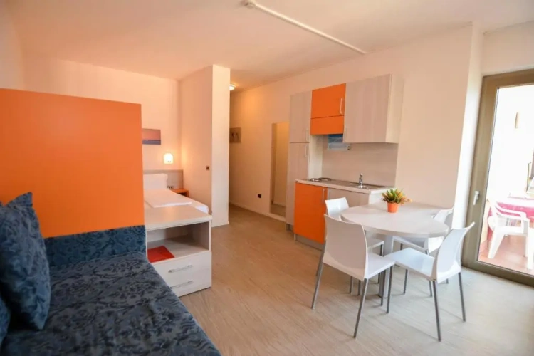 Standard Apartment with balcony and with lake view