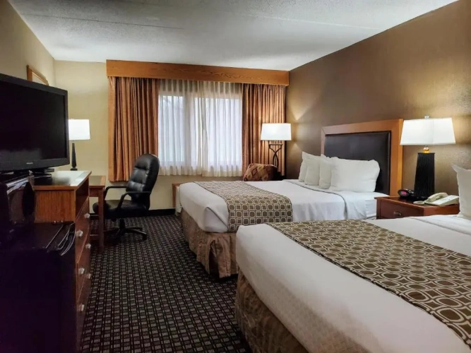 Standard Double room