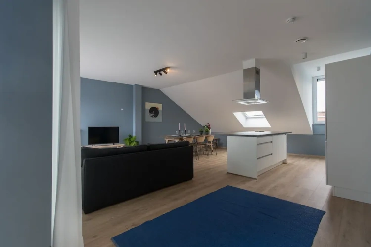 Luxury Apartment