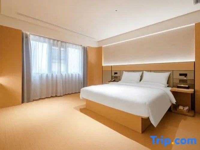 1 Bedroom Suite