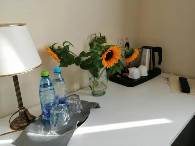 Economy Single room