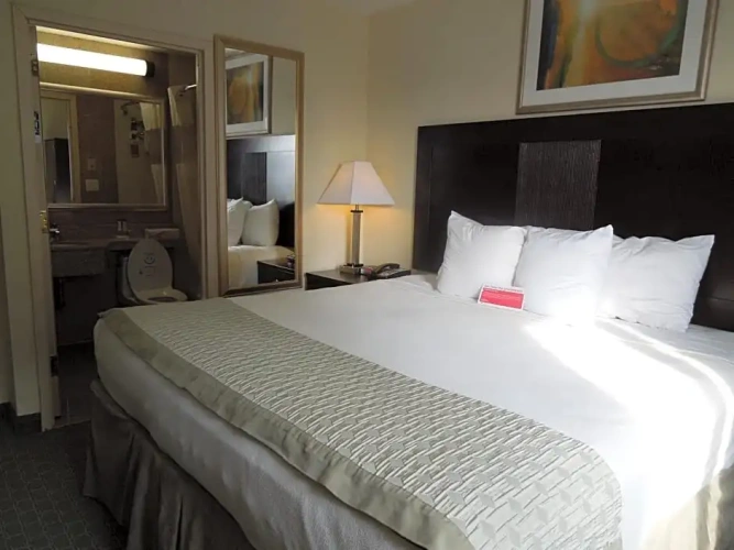 Business Double room
