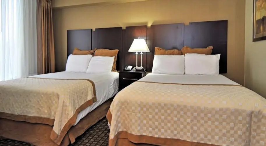 Comfort Suites University
