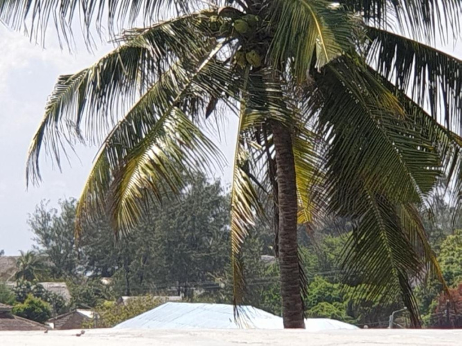 Marijani Holiday Resort