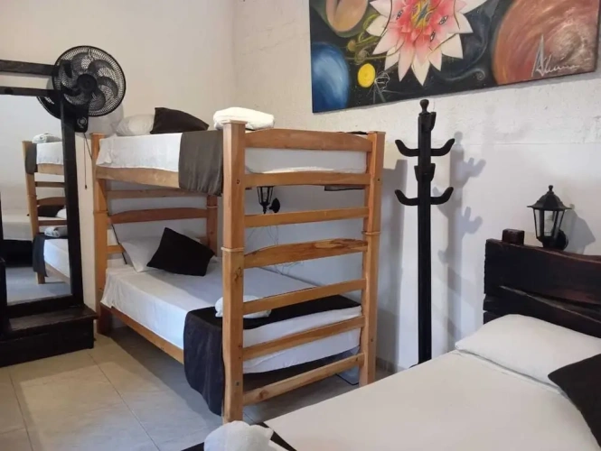 Bed in Dorm
