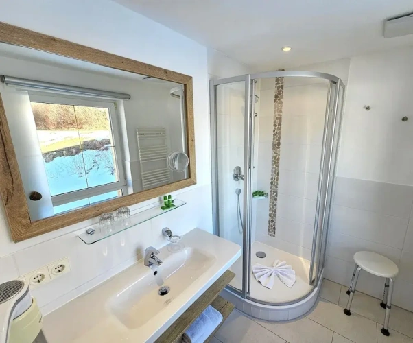 Comfort Double room with balcony and with mountain view