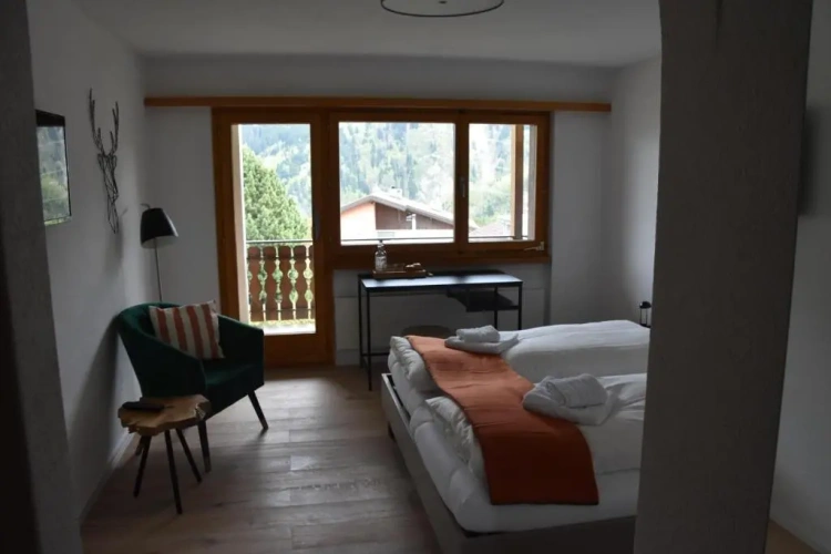 Deluxe Double room with balcony