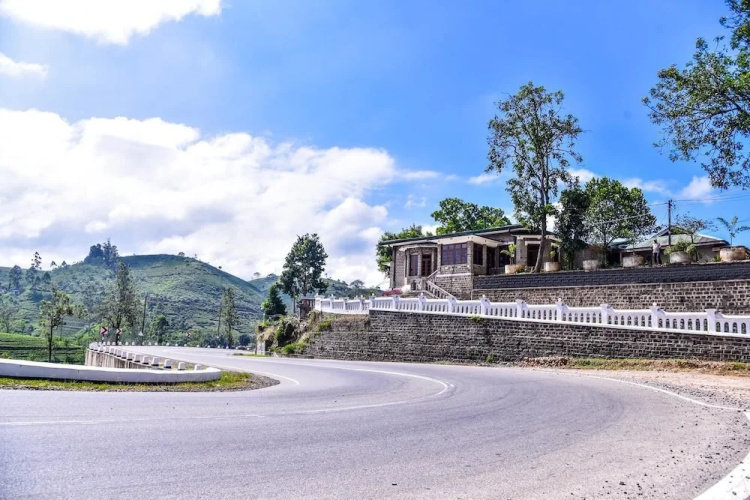 Grand Peak Bungalow