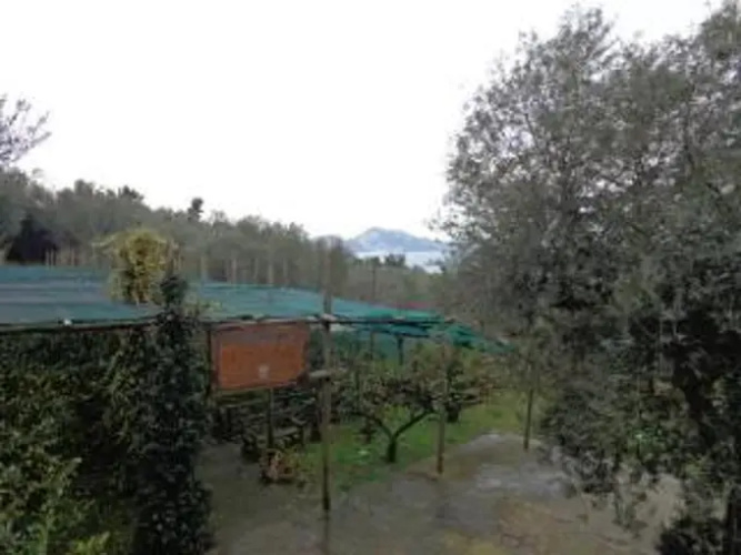 Tenuta Montecorbo
