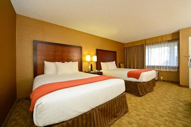 2 Bedrooms Suite