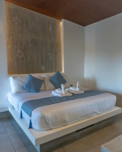 Executive Suite with balcony and with view