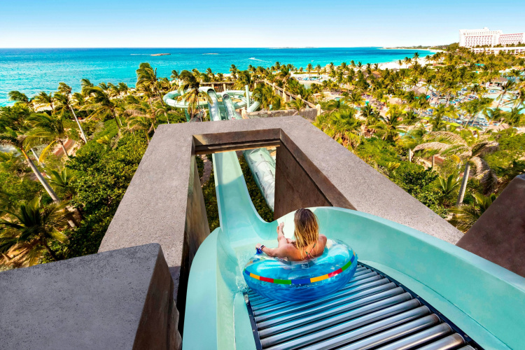 The Coral at Atlantis photo 18