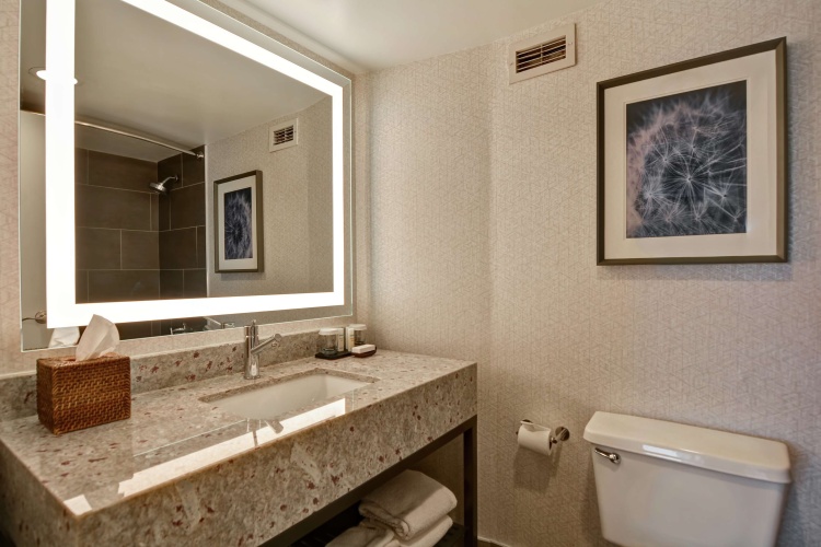 Embassy Suites by Hilton Minneapolis Airport photo 10