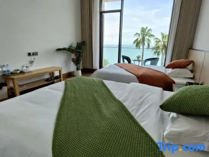 Standard Double room with balcony and with sea view