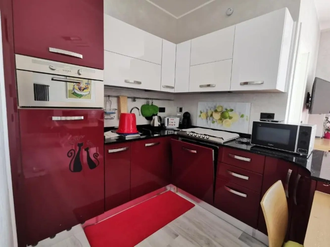 1 Bedroom Apartment