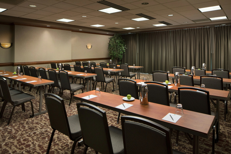 Embassy Suites by Hilton Dallas Frisco Hotel & Convention Ce photo 23