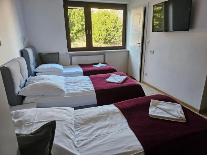 Deluxe Triple room